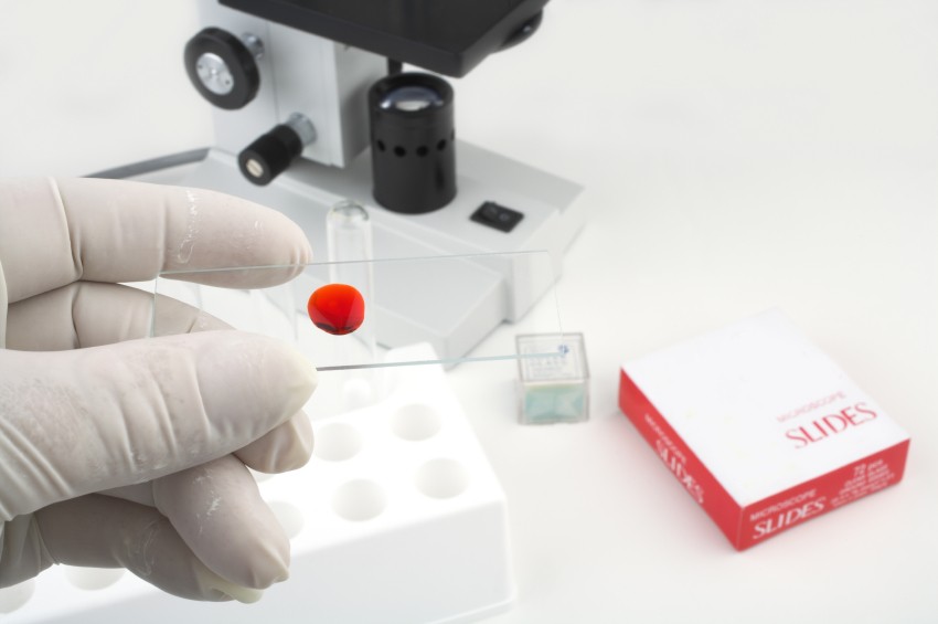 Innocence Project Urges Congress to Pass Justice For All Reauthorization Act to Reveal Wrongful Convictions, Identify the Truly Guilty