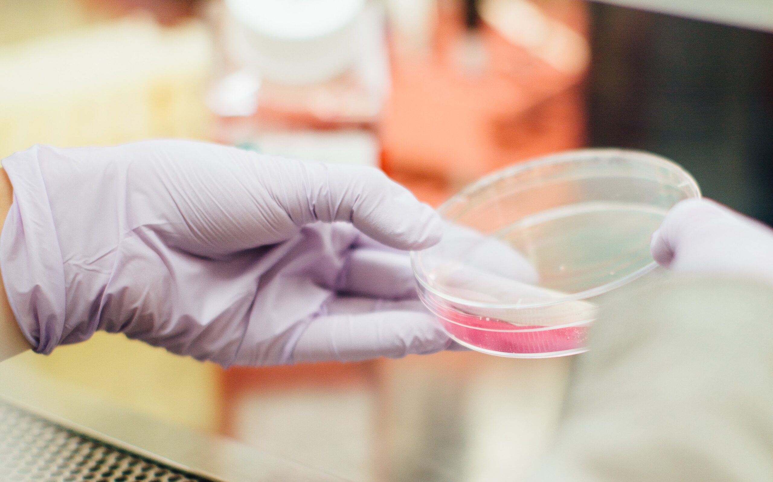 (Image: Drew Hays/Unsplash)