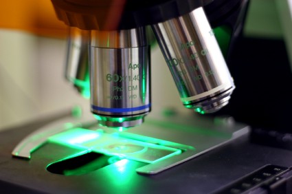 Arizona Criminal Justice Stakeholders Form Hair Review Task Force to Address Wrongful Convictions